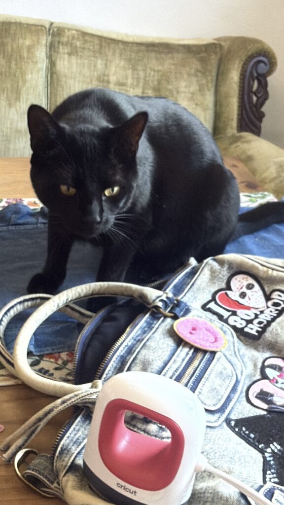 Black cat sitting behind a denim purse and a mini Cricut heat press.